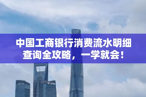 中国工商银行消费流水明细查询全攻略，一学就会！